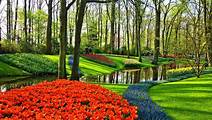 Keukenhof Gardens And Tulip Experience Tour From Amsterdam