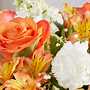 Shop Fresh Flowers & Gifts