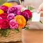 Sympathy Wreath Flower Delivery - Send Sympathy Wreath Online