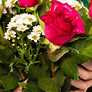 #1 Florist in Burlington MA | Fast Same-Day Flower Delivery
