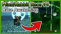 How To Get Mink/Rabbit Race V4 "Race Awakening" - Blox Fruits