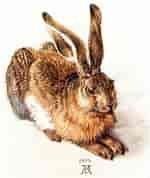 Image result for Durer Easter. Size: 150 x 178. Source: www.pinterest.com