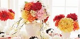 Image result for Cute Crafts at Michaels. Size: 161 x 80. Source: images.data-axle.com