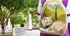 Travel in feline style with these top 7 featuring stylish cat backpacks