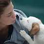 Yorkie Puppies | Yorkshire Terrier Puppies